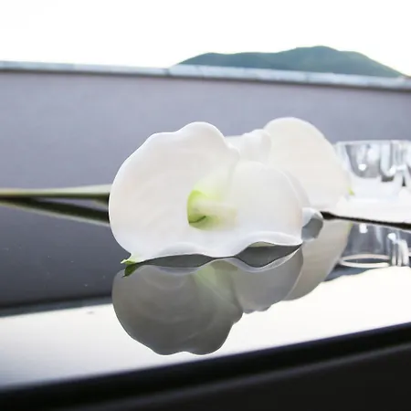 Bellavista Гостьовий будинок