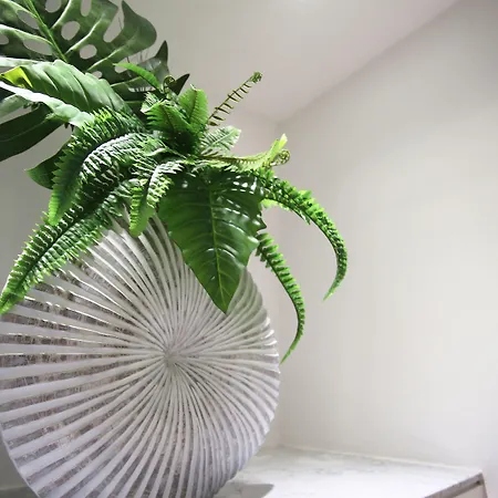 Гостьовий будинок Bellavista